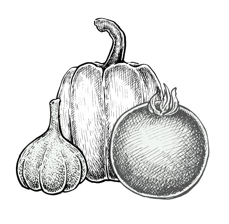 Plants de légumes haute-loire