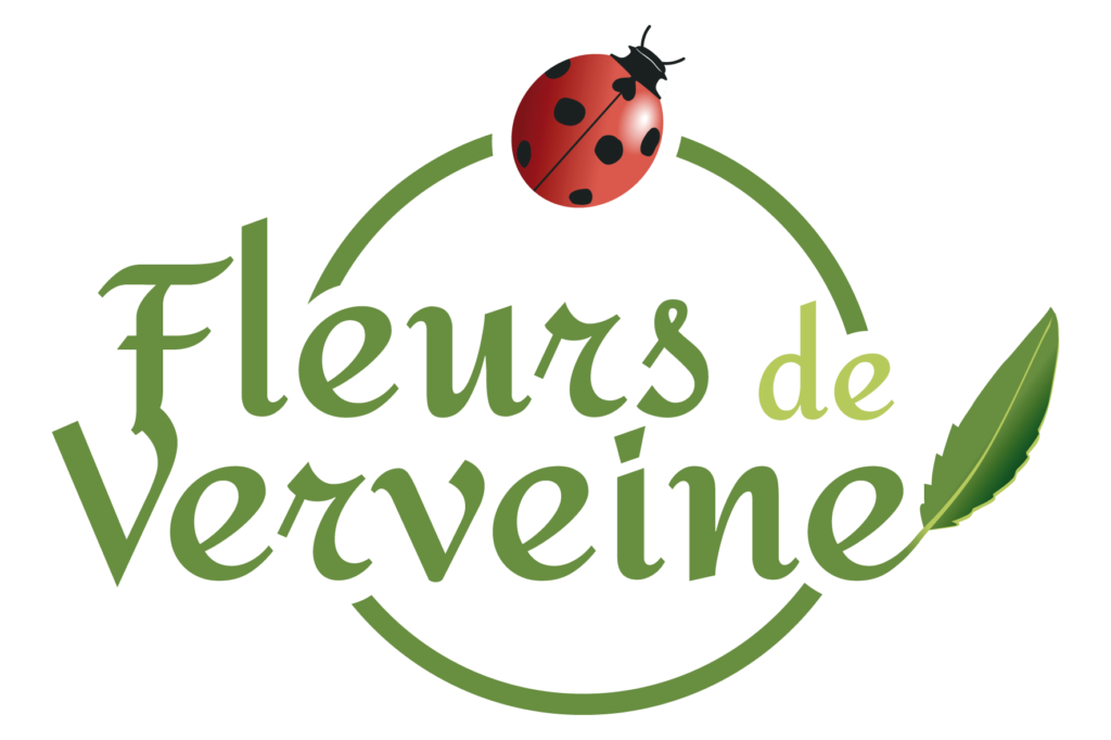 Fleurs de verveine