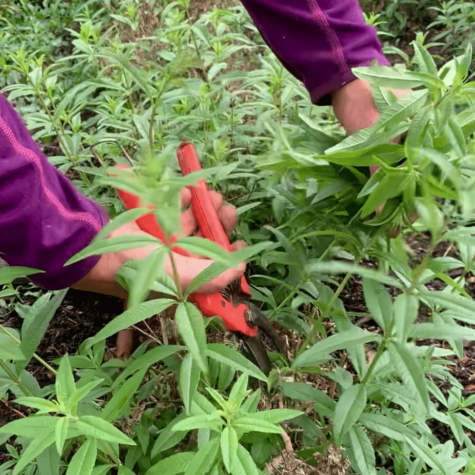 Capture decran 2023 01 06 a 13.37.14 min