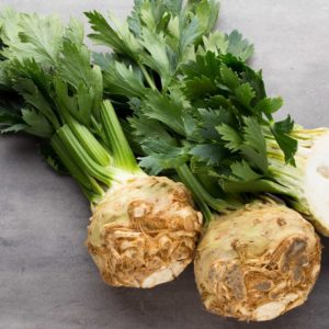 Plants de légumes bio à Monsitrol 12 Celerie branche et rave Haute-Loire