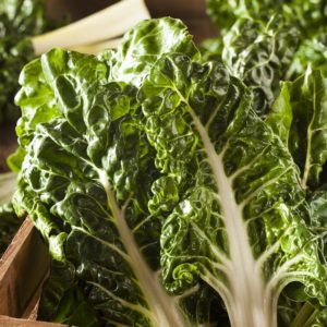 Plants de légumes bio à Monsitrol 8 Plants de côte de blette haute-loire