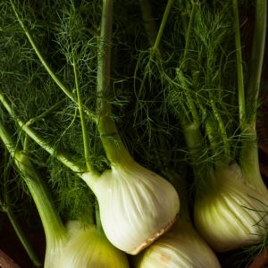 Plants de légumes bio à Monsitrol 9 Fenouil bio haute-loire